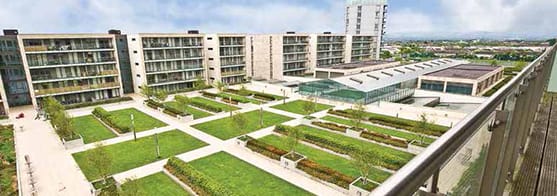 a view of a building with a green roof