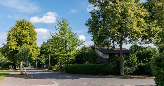 A tree with yellow leaves stands in front of a house.
