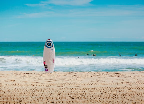 Surfing