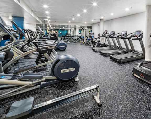 A gym with treadmills, elliptical machines, and a rowing machine. at Esprit Apartments, Marina del Rey, California