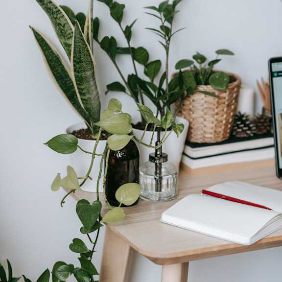 Desk with plant, notebook, and pen in a simple indoor workspace setting