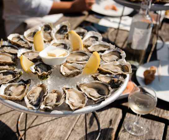 oysters on the half shell at The Standard, Charleston, SC, 29412