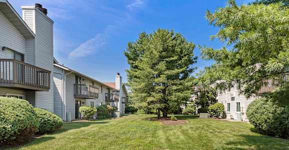 A tree in a grassy area in front of apartment buildings. at Quail Ridge, Plainsboro Township, NJ, 08536