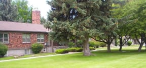 College Park Lawn and Mature Trees