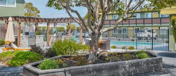a tree in the middle of a parking lot in front of a building