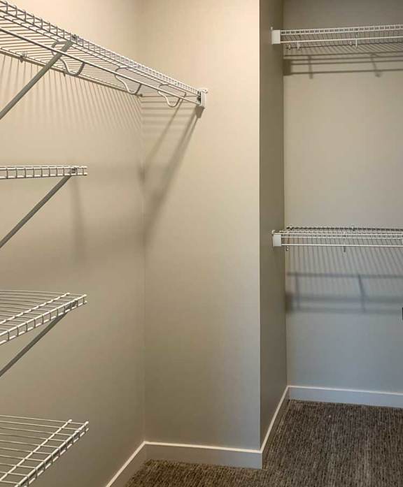 walk-in closet with shelving and a carpeted floor