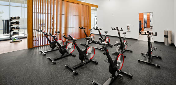 a gym with treadmills and weights and a mural on the wall