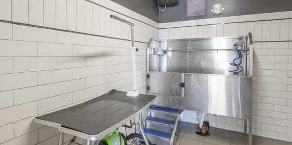 Pet grooming station