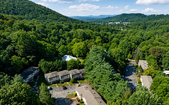 A bird's eye view of a residential area surrounded by a dense forest.