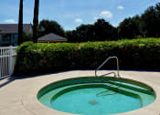 Thumbnail 2 of 12 - Hot Tub Orlando Florida