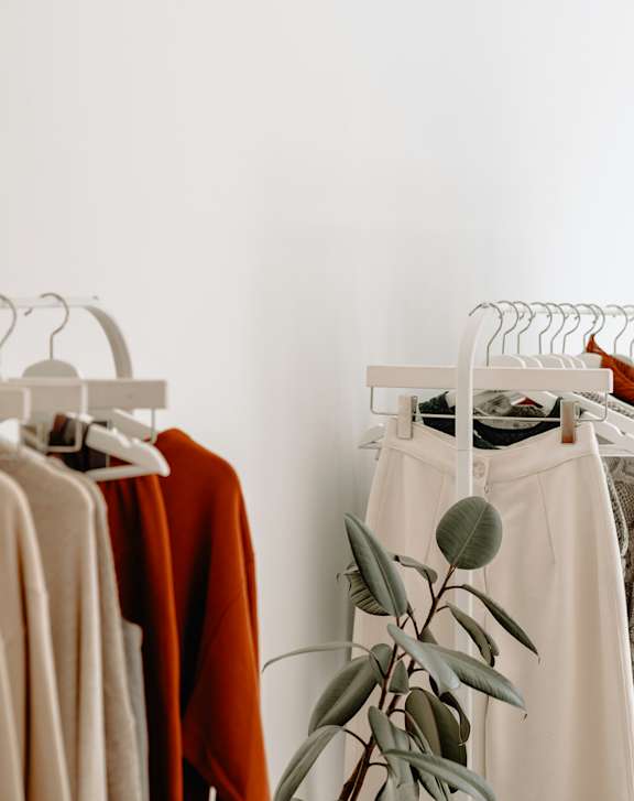Clothes hanging on a rack with a plant in front.