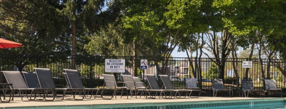 Relax by the Pool