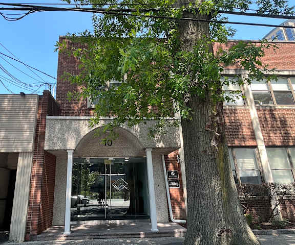 a view from the street of a brick building with a large tree in front of it