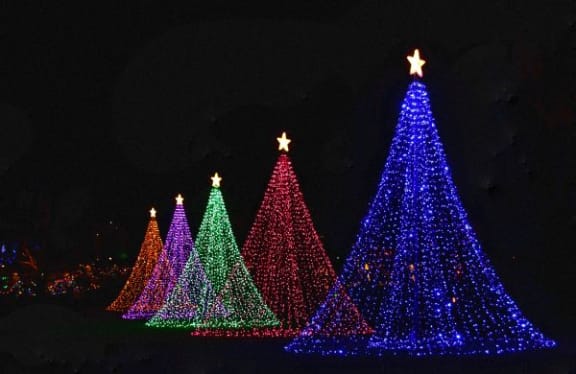 winter lights in shape of tree 
