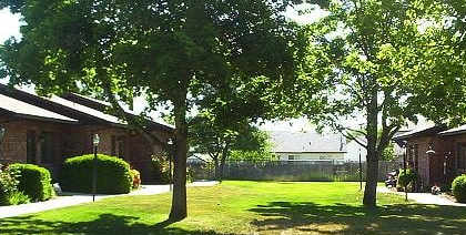A sunny day at a grassy park with trees and a building in the background.
