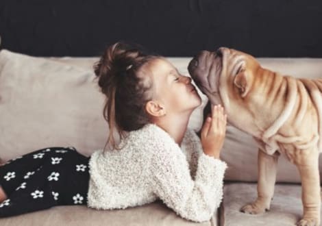 young child playing with pet at Reveal at Bayside Apartments in Rowlett, Tx