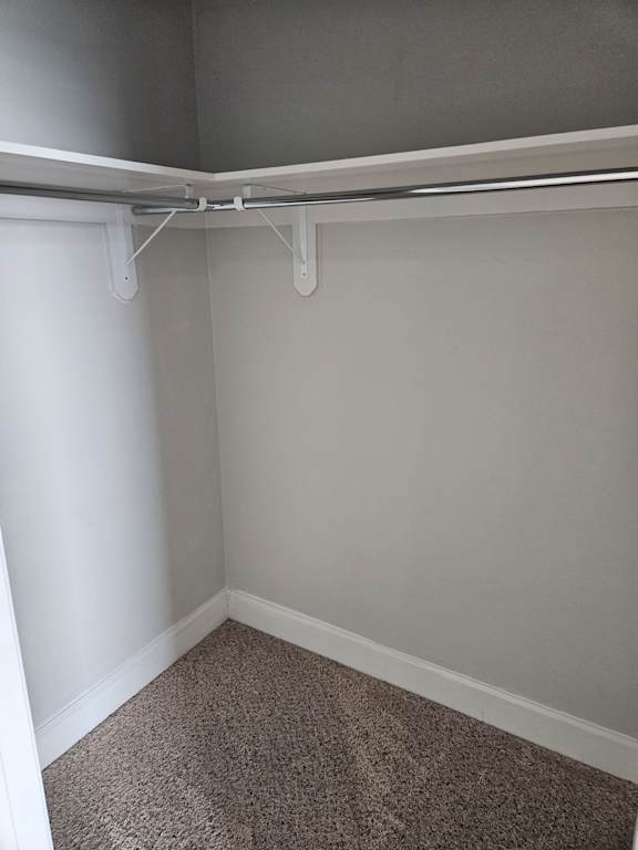 A white bathroom with a brown carpet.