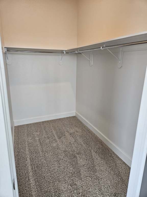 A white closet with a grey carpeted floor.