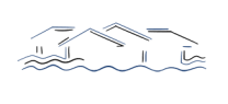 Campbird Logo