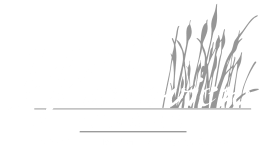 Waterview The Cove Logo