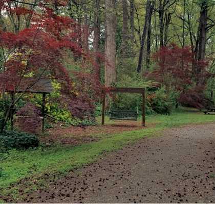 a path through a park with trees and a bench