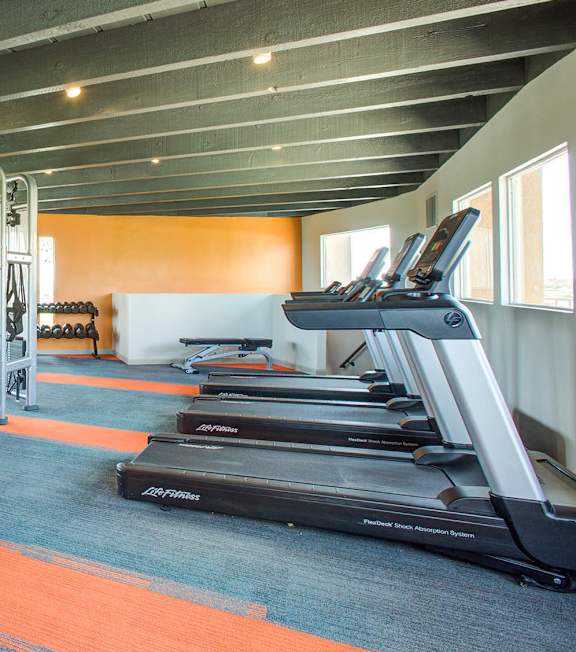 A gym with treadmills and elliptical machines.