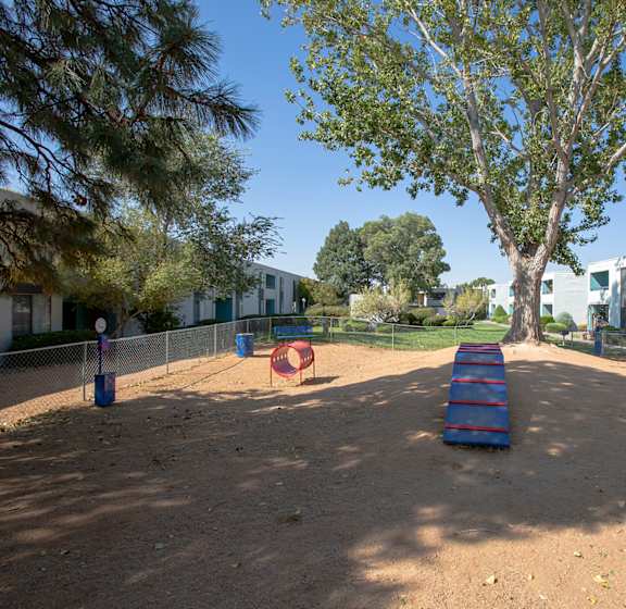 Obstacle Course Pet Park at Villas Del Cielo Aprartments in Albuquerque New Mexico October 2020
