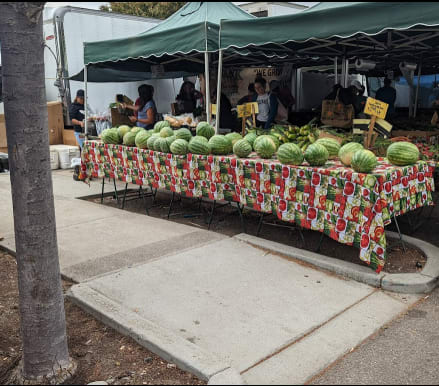 a fruit stand with watermelons on display at an outdoor market
