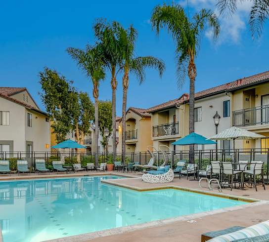 our resort style swimming pool is surrounded by our buildings and palm trees