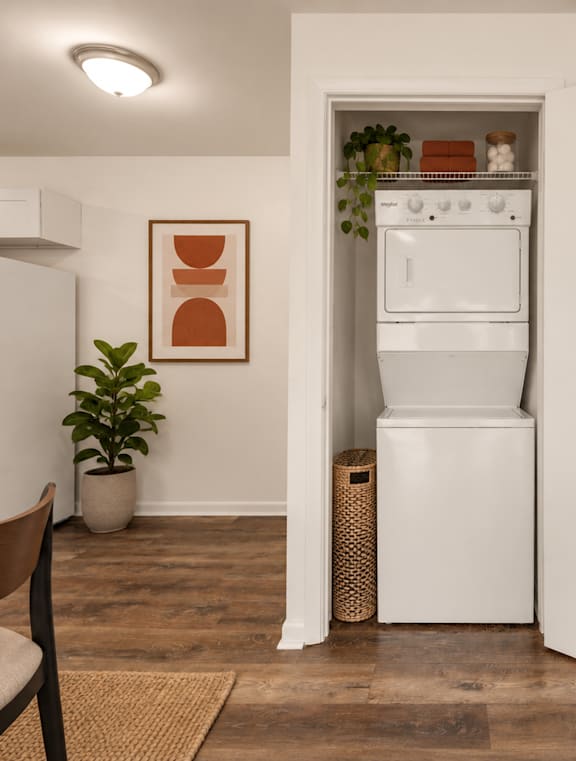 A white closet with clothes and a shelf with shoes and a plant.