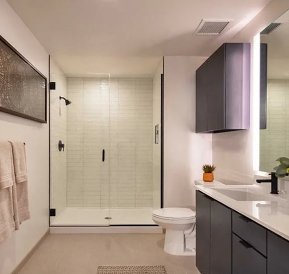 Chic Bathroom with a Glass Encased Shower at  North+Vine in Illinois, 60610