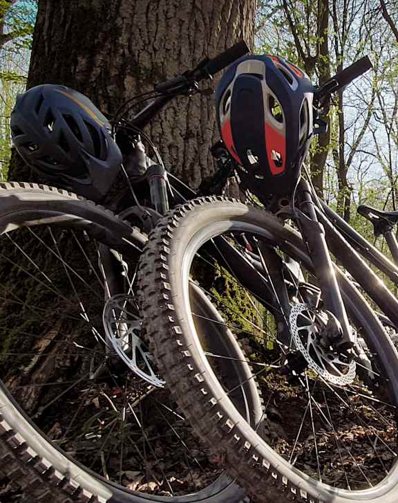 A bicycle is parked on a dirt trail next to a tree