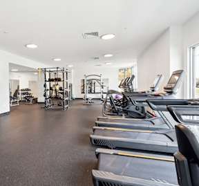 A spacious gym with treadmills, weights, and exercise equipment.