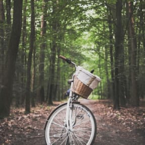 A bike parked in the middle of a green park, surrounded by trees and open space.
