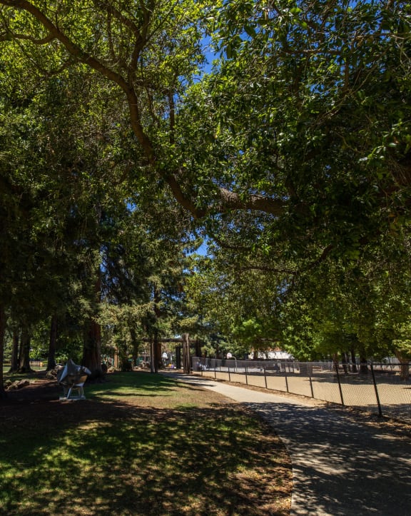people sitting on a bench in a park