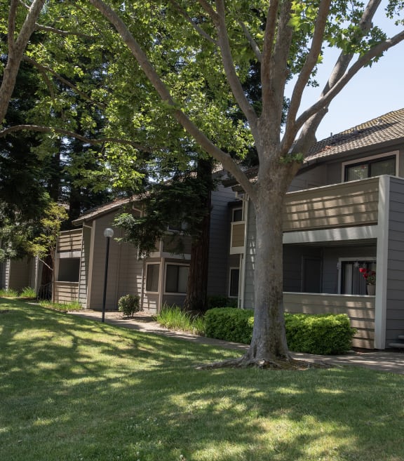 Bishops Court building patios and decks shaded by mature trees at Bishop's Court Apartments, Rancho Cordova, CA