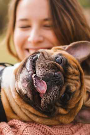 A small white and brown dog with a big smile looking up at the camera.