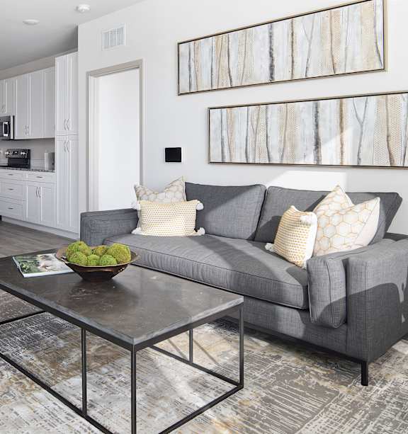 A grey couch with a coffee table in front of it. at AVLI AT CROSSTOWN CENTER Apartments , TAMPA, FL, 33619