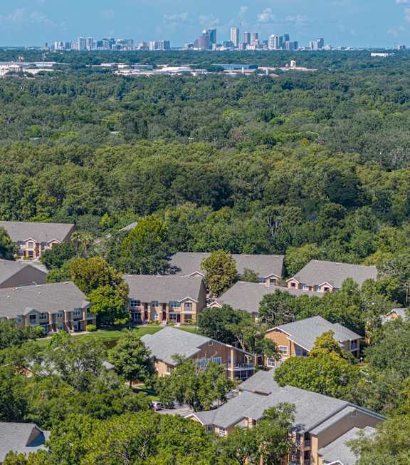 A bird's eye view of a residential area with houses surrounded by trees.