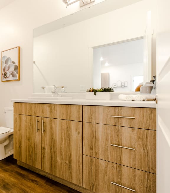Luxurious Bathrooms