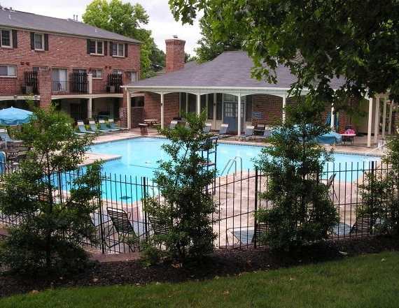 A pool surrounded by trees and a building in the background.
