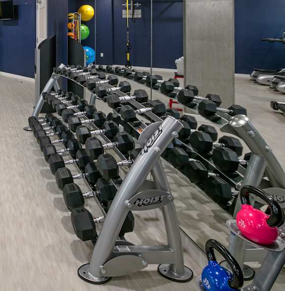A gym with a row of dumbbells and weight machines.