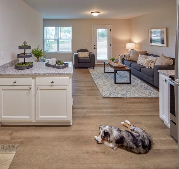 a dog laying on the floor in a kitchen and living room