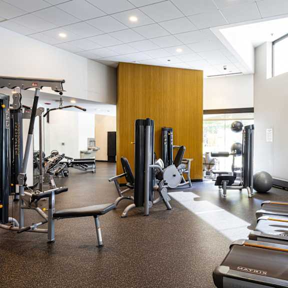 A gym with a variety of equipment including treadmills, weights, and a television.