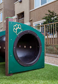 Play area for dogs at The View at Horizon Ridge, Henderson, NV