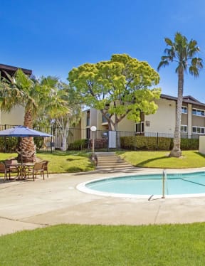 a swimming pool with a palm tree in the background