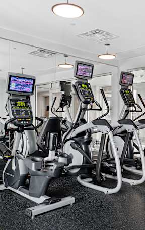 A gym with a row of stationary bikes and a row of treadmills.