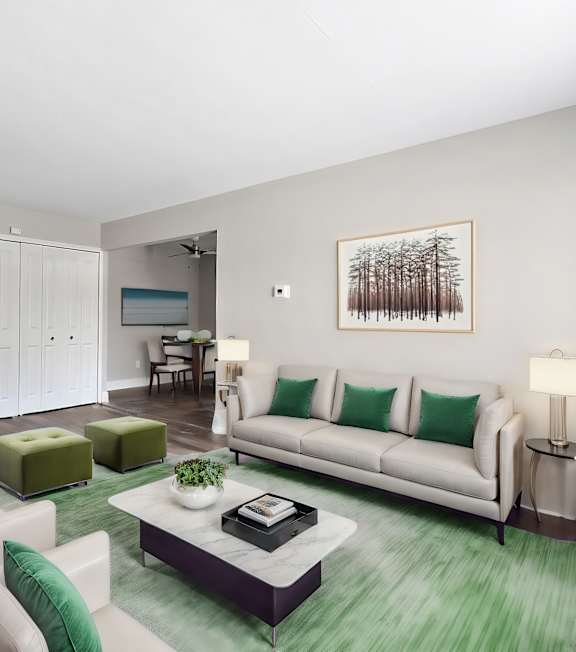 A living room with a white couch and a green rug.