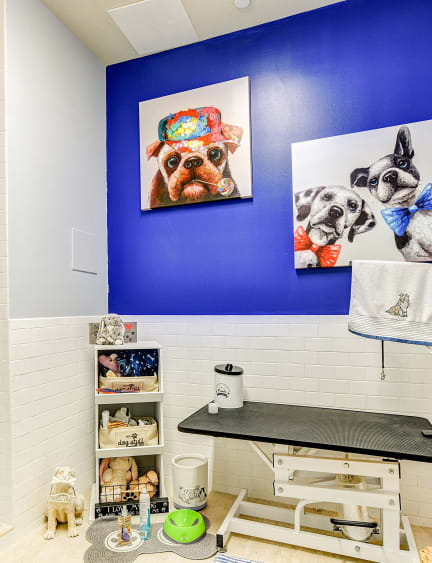a bathroom with a blue wall and a shower and a sink at The View at Old City, Philadelphia