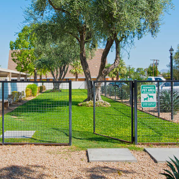 Dog Park at Winfield of Scottsdale, Scottsdale, AZ